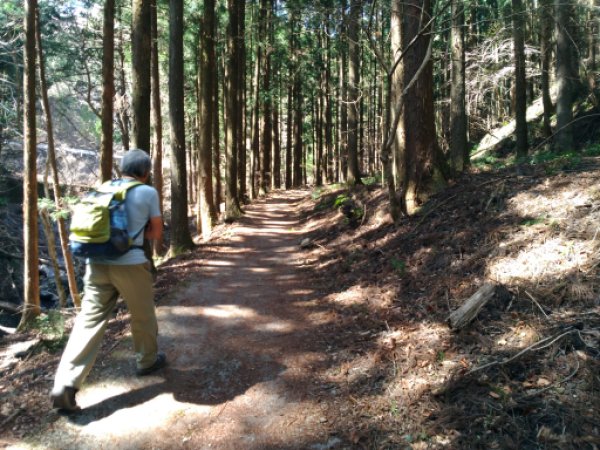 画像11